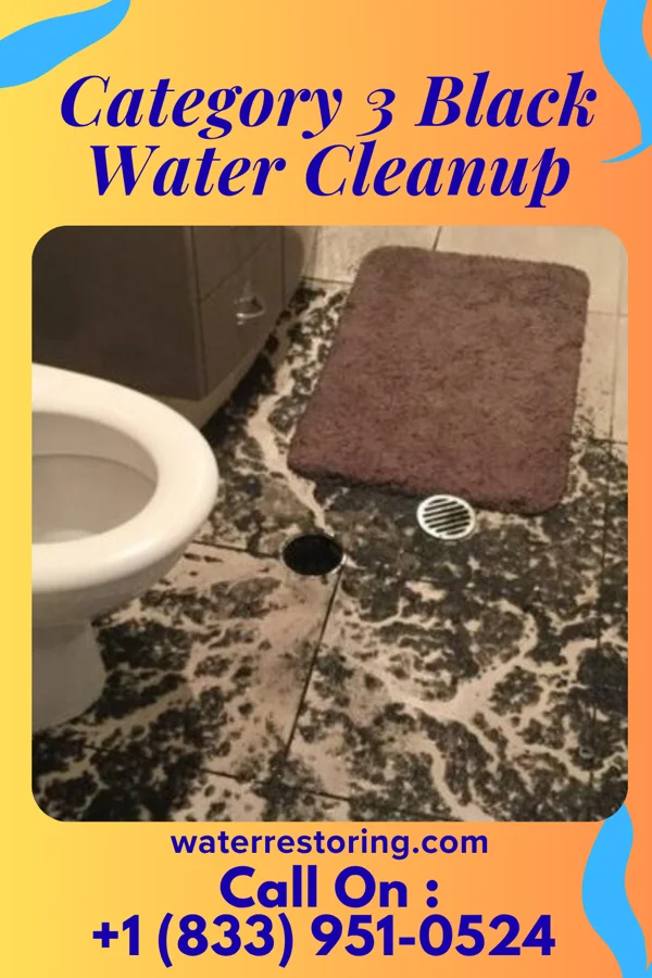 Category 3 Black Water Cleanup in Bartlett, IL