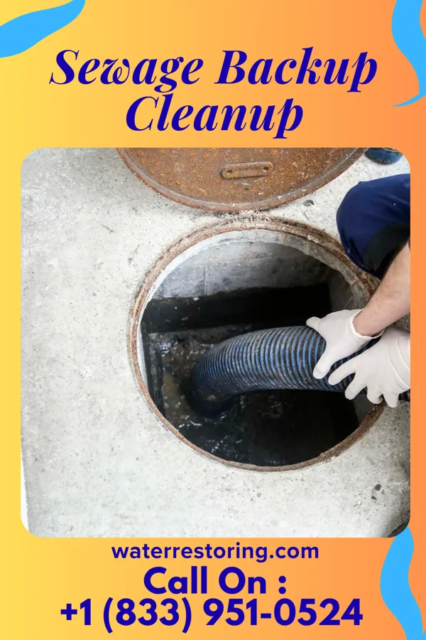 Sewage Backup Cleanup in Bartlett, IL