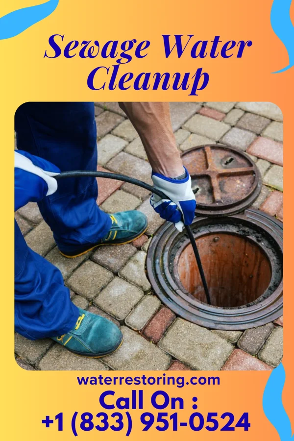Sewage Water Cleanup in Bartlett, IL